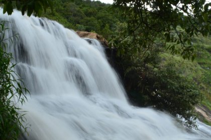 coffee plantation trek