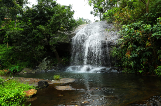 eco tourism