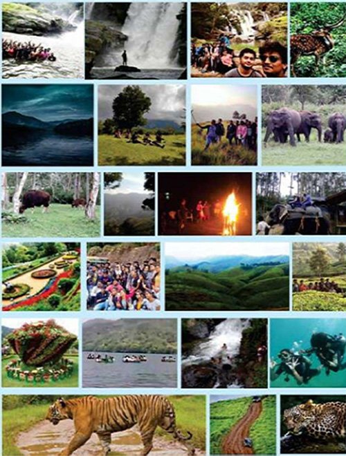 guided trekking trail in Kerala forest